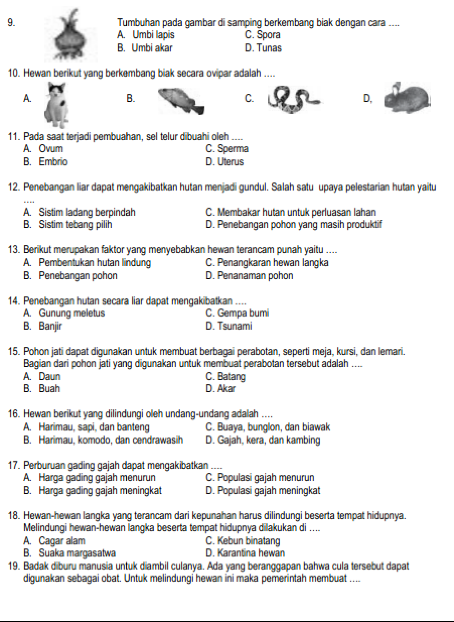 5 Soal UTS IPA Kelas 6 Semester 2 dan Kunci Jawaban yang Sering Muncul di Ujian 2026 5 Soal UTS IPA Kelas 6 Semester 2 dan Kunci Jawaban yang Sering Muncul di Ujian 2026