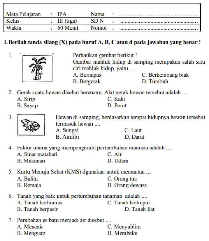 Rahasia Sukses Belajar Lewat Contoh Soal Kelas 3 SD Semester 1 yang Wajib Tahu